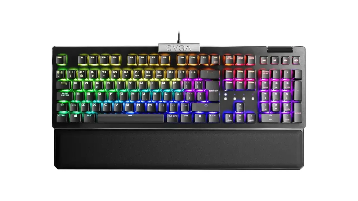 The 5 Best Budget Gaming Keyboards That Don’t Feel Cheap 11 EVGA Z15 RGB Mechanical Gaming Keyboard